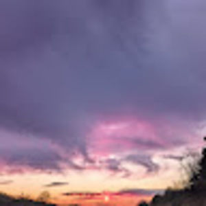 Meet your Posher, Joann